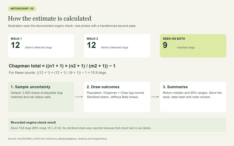 NotchCount – screenshot 12