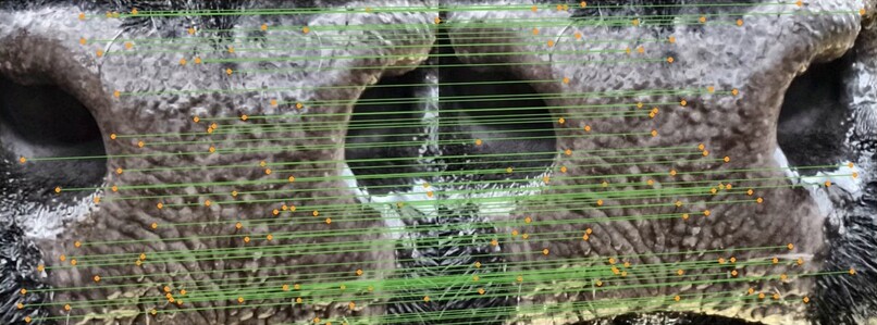 Mombe – screenshot 1