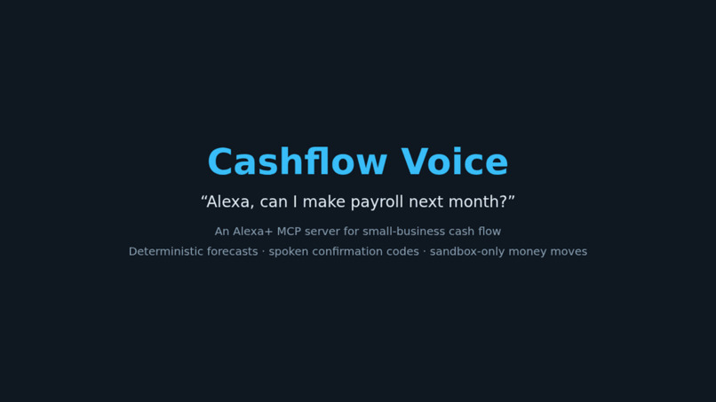 Cashflow Voice – screenshot 3