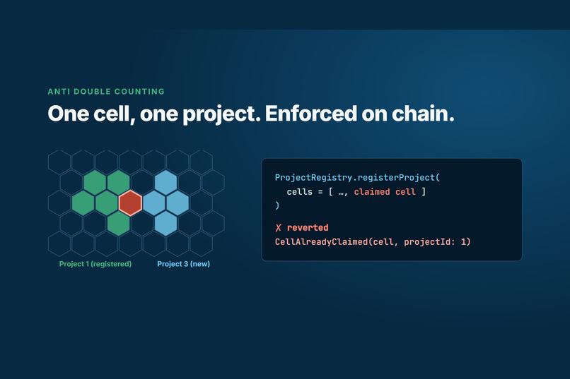 BlueRoot – screenshot 2
