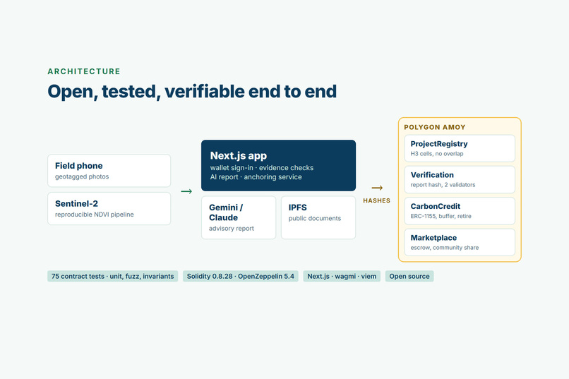 BlueRoot – screenshot 3