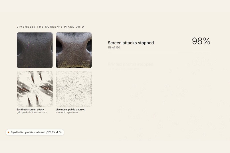 Mombe – screenshot 6