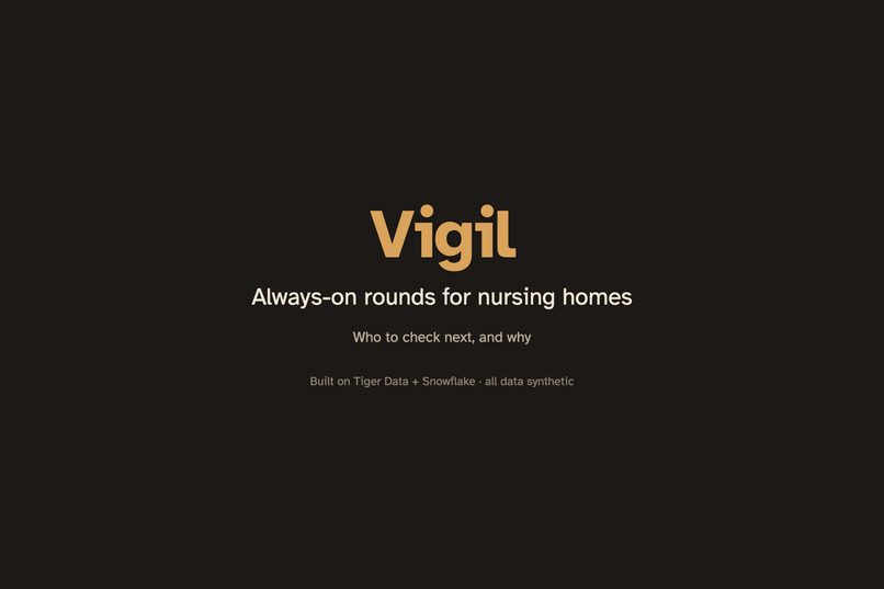 Vigil – screenshot 1