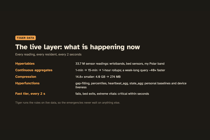 Vigil – screenshot 5