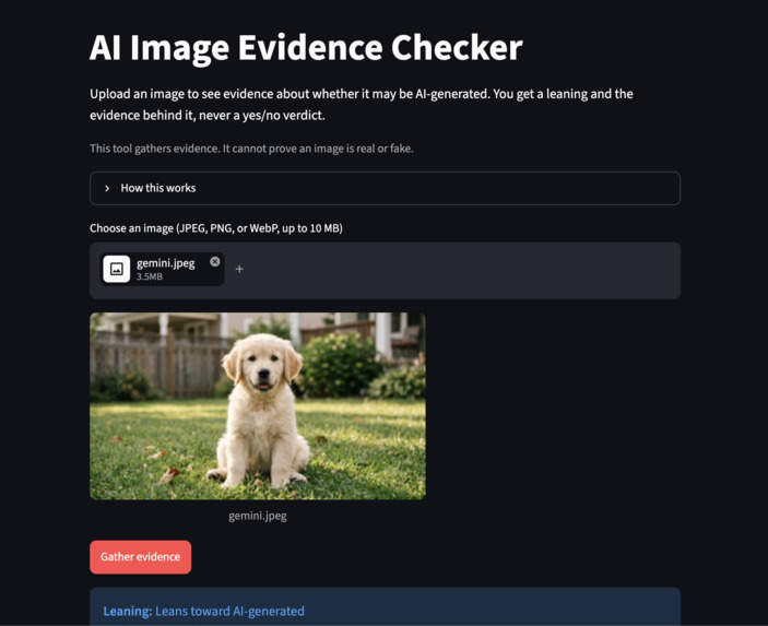 Second Look – screenshot 2