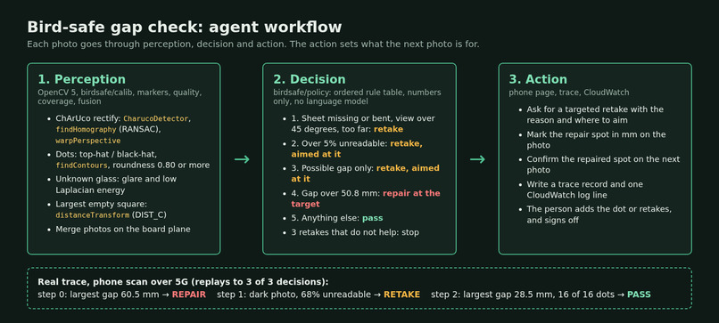 Bird-safe gap check – screenshot 8