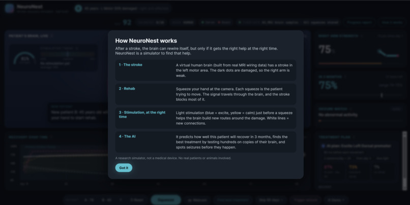 NeuroNest – screenshot 3