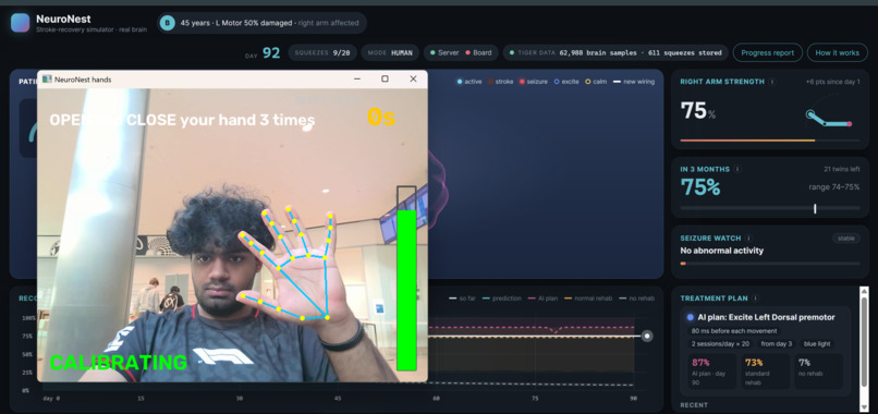 NeuroNest – screenshot 4