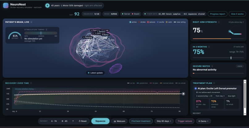 NeuroNest – screenshot 5
