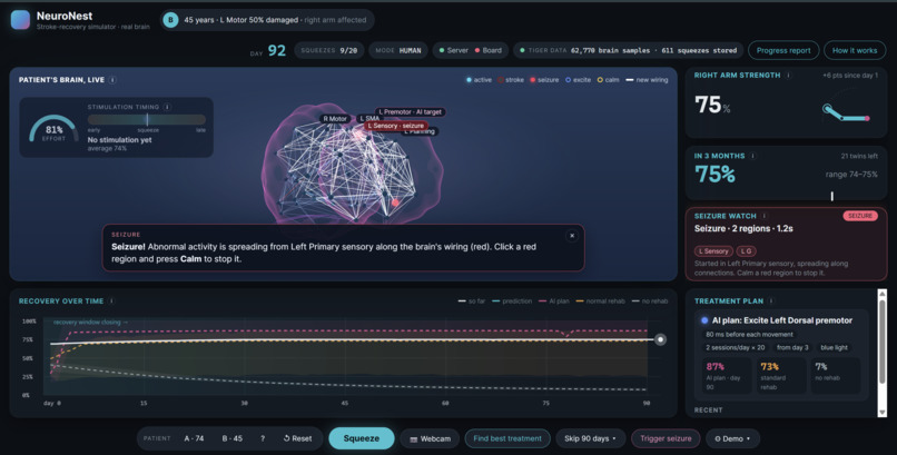 NeuroNest – screenshot 6