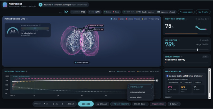 NeuroNest – screenshot 7