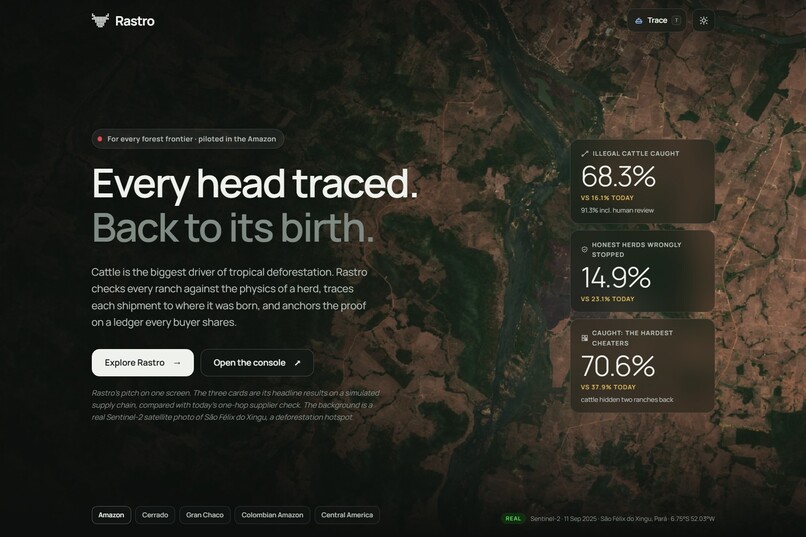 Rastro – screenshot 1