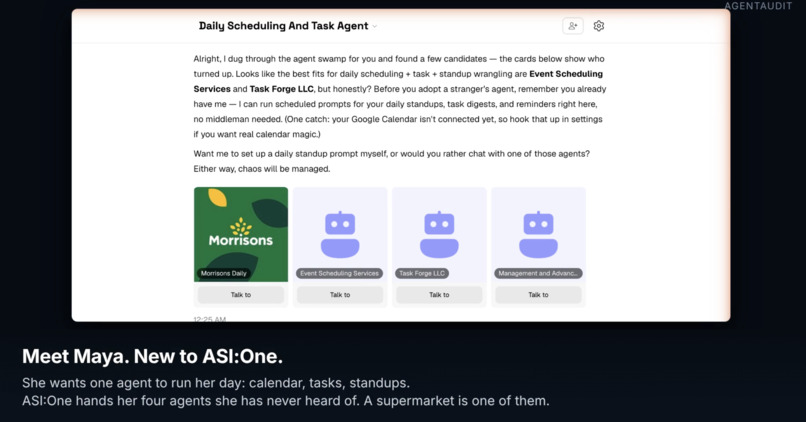 AgentAudit – screenshot 2