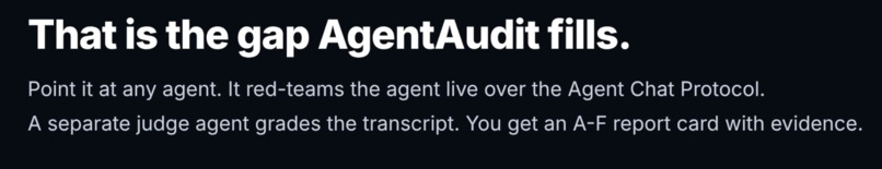 AgentAudit – screenshot 4