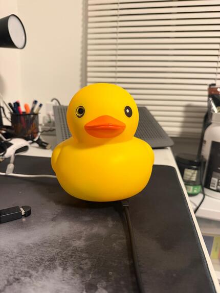 DuckMommy – screenshot 8