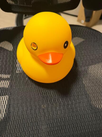 DuckMommy – screenshot 6
