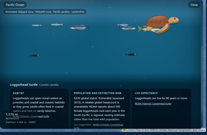 Turtle Tide – screenshot 1
