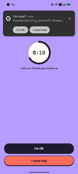 pip – screenshot 2