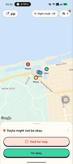 pip – screenshot 5