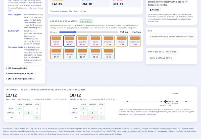 Cardie – screenshot 1