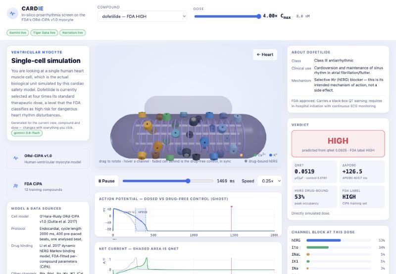 Cardie – screenshot 2