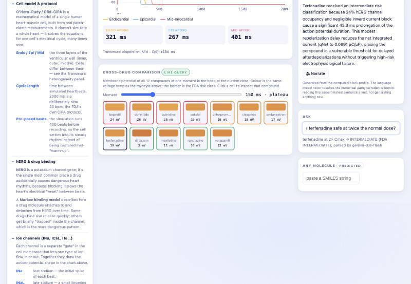 Cardie – screenshot 3
