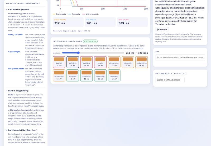 Cardie – screenshot 5