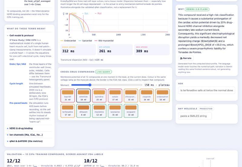 Cardie – screenshot 7