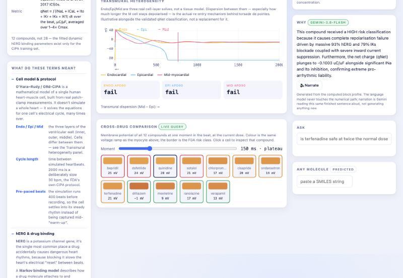 Cardie – screenshot 8