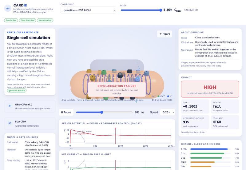 Cardie – screenshot 10