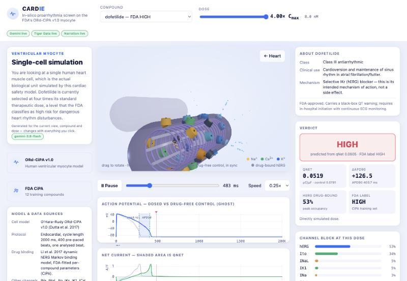 Cardie – screenshot 11