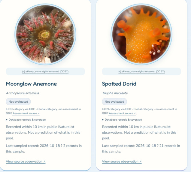 Tide and Seek – screenshot 3