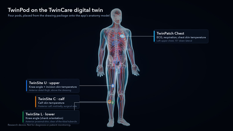 Digital Twin Biomedical – screenshot 10