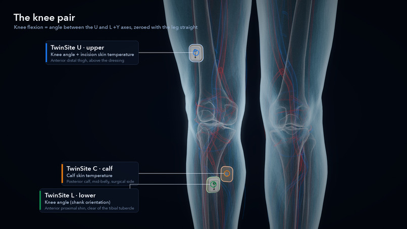 Digital Twin Biomedical – screenshot 11
