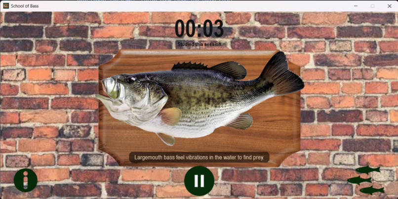 School of Bass – screenshot 1