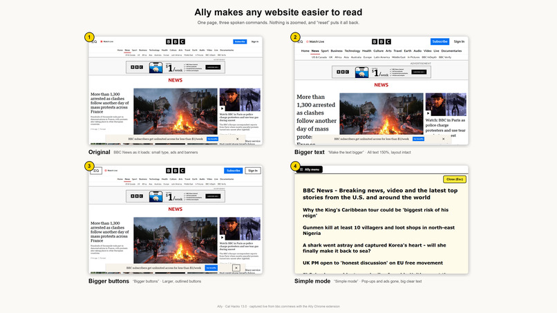 Accessibility Ally – screenshot 2