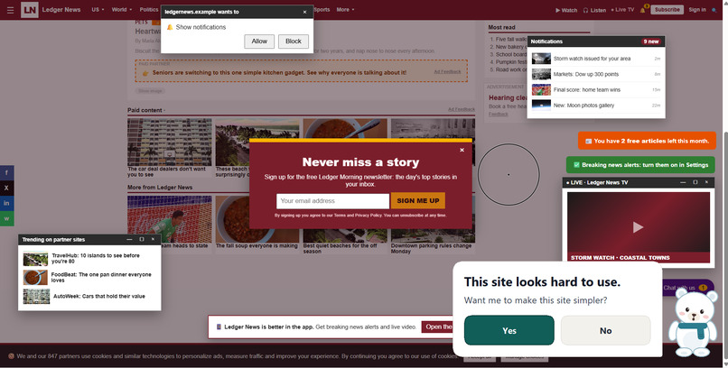 Accessibility Ally – screenshot 3