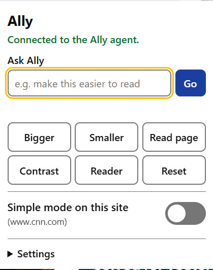 Accessibility Ally – screenshot 4