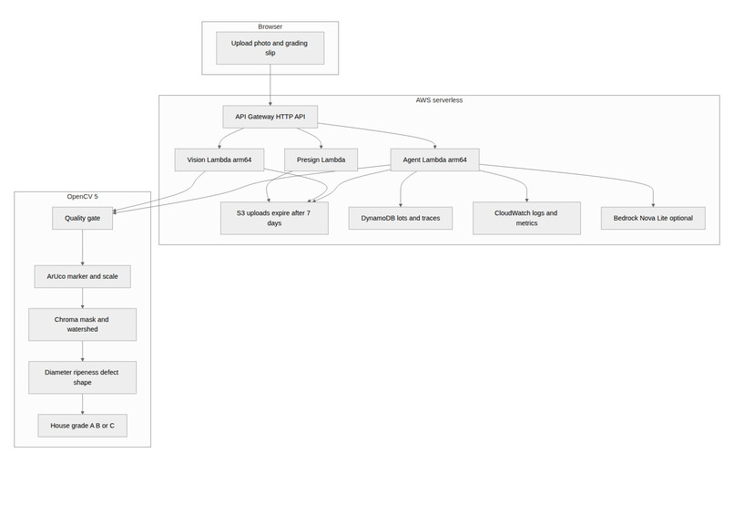 MandiLens – screenshot 1
