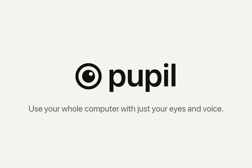 Pupil – screenshot 1