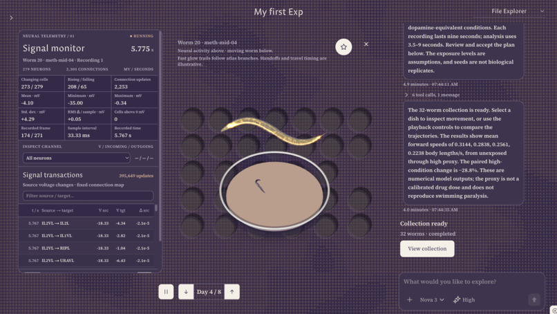 Anima Labs – screenshot 2