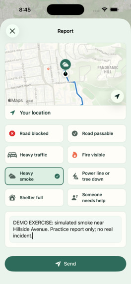 CrisisTwin – screenshot 13