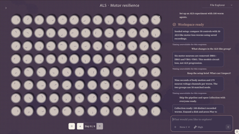 Anima Labs – screenshot 1