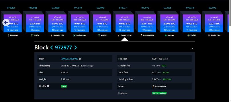 Moonsoon Guard AI – screenshot 7