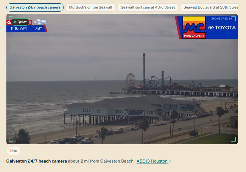 Beach Day – screenshot 3