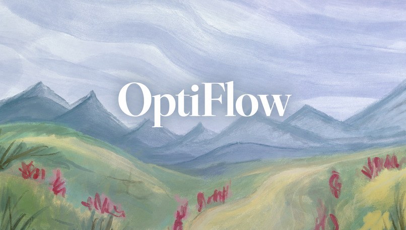 OptiFlow – screenshot 1