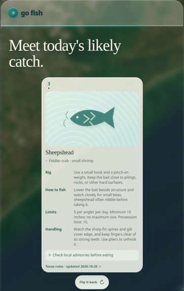 Go Fish - Surf Fishing – screenshot 3