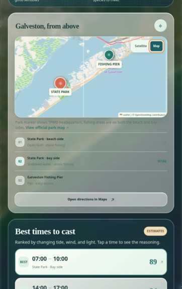 Go Fish - Surf Fishing – screenshot 5