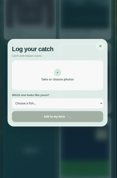 Go Fish - Surf Fishing – screenshot 7