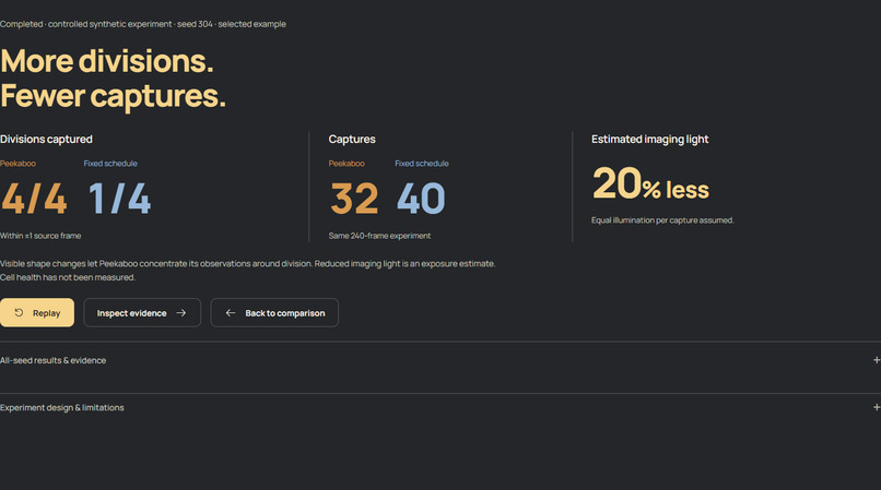 Peekaboo. – screenshot 4